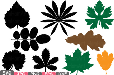 Fall Leaves SVG 9 different leaf designs with Outline and Silhouette 36 files!