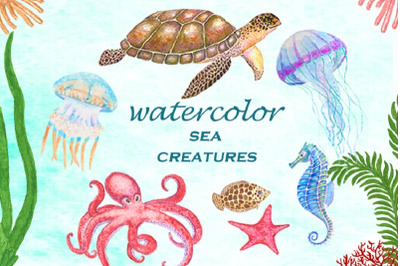 Set of watercolor sea creatures