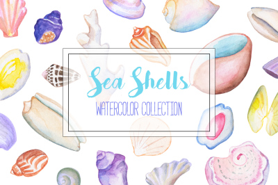 Sea Shells Watercolor Clipart