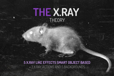 The X.RAY Theory