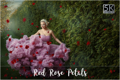 5K Red Rose Petals Overlays