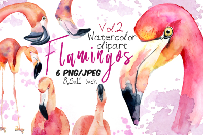 Watercolor flamingo clipart Tropical summer set. Vol.2
