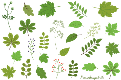 Green foliage clipart, Green leaf clip art, Summer spring leaves