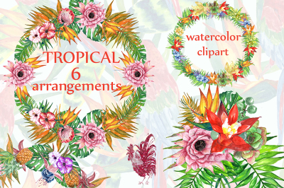 Tropic watercolor clip art