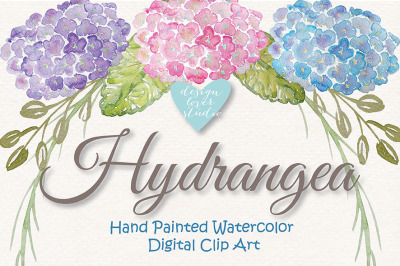 Watercolor Hydrangea flowers clipart