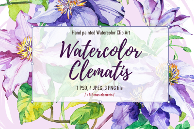 Watercolor Clematis
