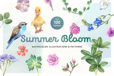Summer Bloom Watercolor Set