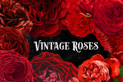 Vintage Watercolor Red Roses Clipart