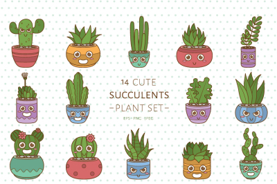Cute Succulents
