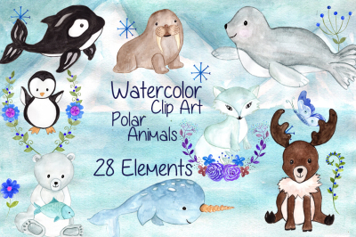 Watercolor polar animals clipart