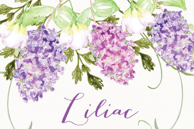 Watercolor Liliac flowers clipart, Spring flower clipart, Purple, Purple Floral Clipart, Wedding Clip Art, wedding invitation