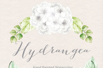 Watercolor Hydrangea flowers clipart, watercolor flower, White Floral Clipart, Wedding Clip Art, wedding invitation, watercolour clipart