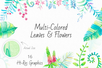 Watercolor Leaves & Flowers