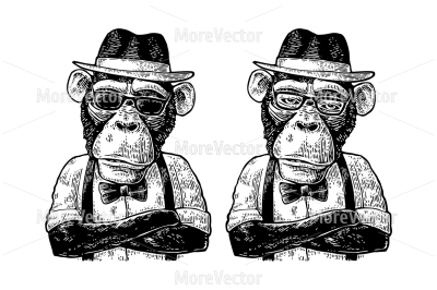 Monkey hipster with paws crossed in hat, shirt, sunglasses and bow tie.