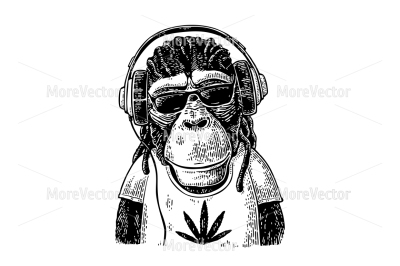 Monkey hipster with dreadlocks in headphones, sunglasses and t-shirt with marijuana leaf. 