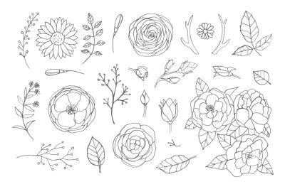 Hand drawn floral set