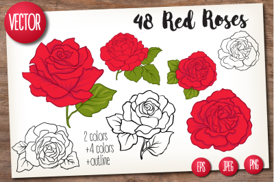 48 red roses set