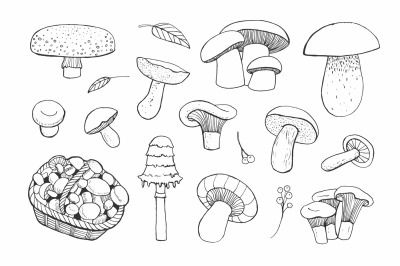 Vector mushrooms