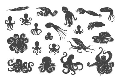Hand drawn octopus set