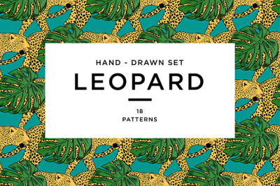 Leopard Patterns