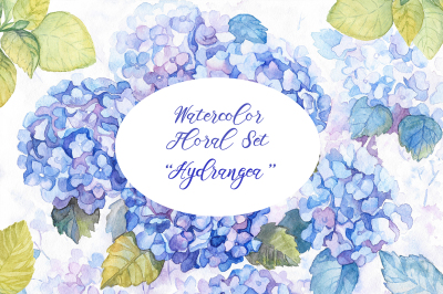 Hydrangea Watercolor Flowers