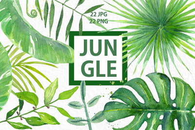 Tropical leaves. Jungle. Watercolor clipart.
