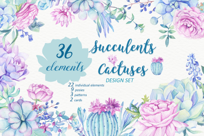 Succulents & Cactuses Design Set