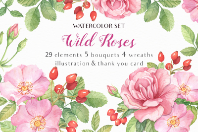 Wild Roses Watercolor Set