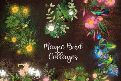 Magic Bird Collages