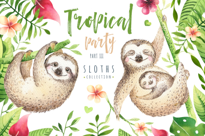 Tropical party III. Sloth collection