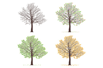 Four seasons trees