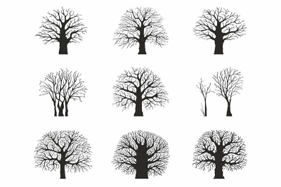 Trees silhouettes