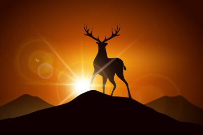 Deer on a Mountain