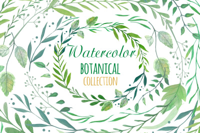 Botanical Watercolor Clipart