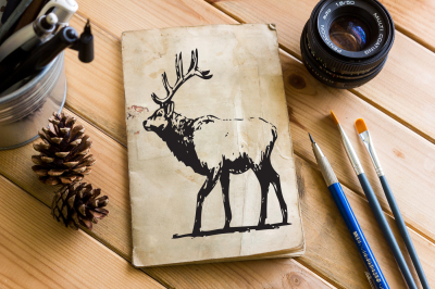 Hand drawn wild Elk