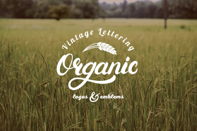 Organic Logo Set