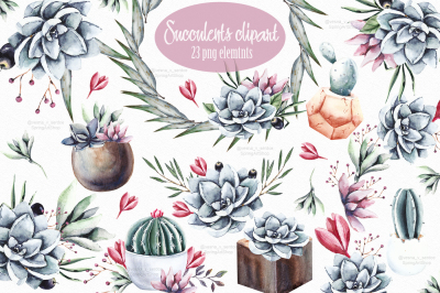 Succulents & Cactus watercolor clipart 