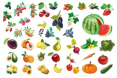 Fruits, berries, vegies