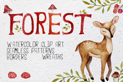 Forest watercolor set