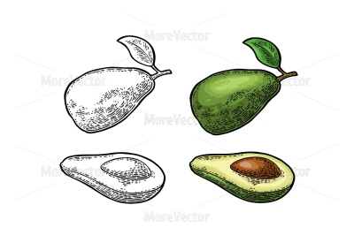 Whole and half avocado with seed and leaf.