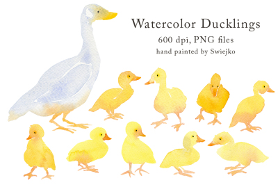Country Clipart, watercolor ducklings