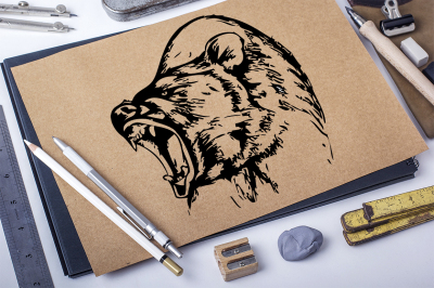 Hand drawn wild Bear