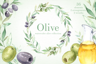 Olive Watercolor Clipart