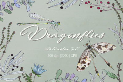 Dragonflies watercolor set