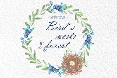 Bird's nests in the forest, vol. 1
