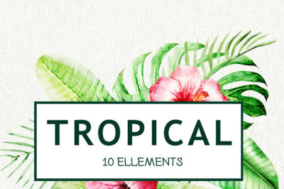 Watercolor Tropical Bright Leaves. Handpainted clipart, Foliage, Green leaf, Tropic, Wedding invitation, separate elements, greeting, DIY