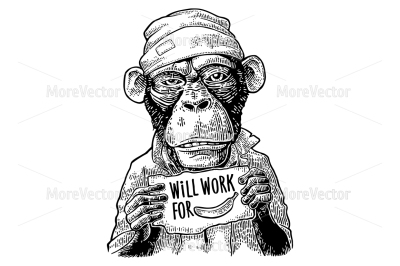 Monkeys in a hat and a robe holding a table with lettering WILL WORK FOR FOOD.