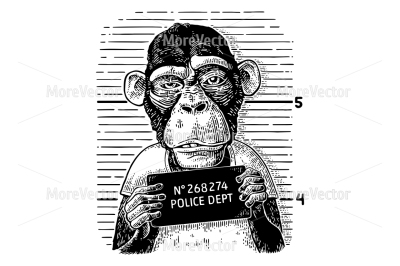 Monkeys in a T-shirt holding a police department table.