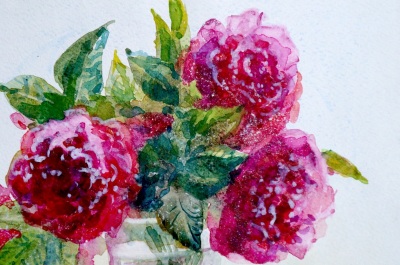 Watercolor wild rose