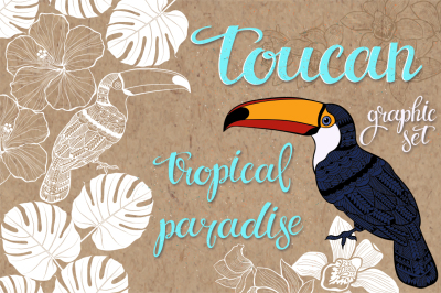 Toucan. Tropical paradise.